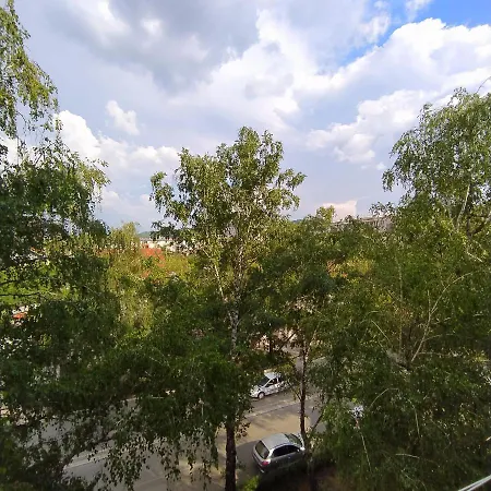 Konaque Dr *