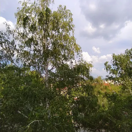 Konaque Dr